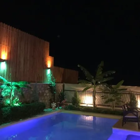 Vilă With Private Pool And Jacuzzi In Antalya Patara