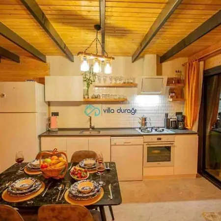 With Private Pool And Jacuzzi In Antalya Patara Vilă