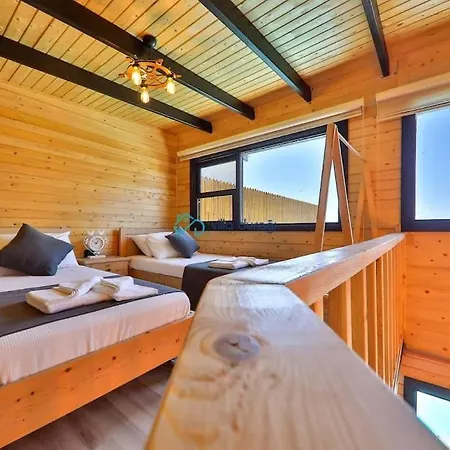 Vilă With Private Pool And Jacuzzi In Antalya Patara