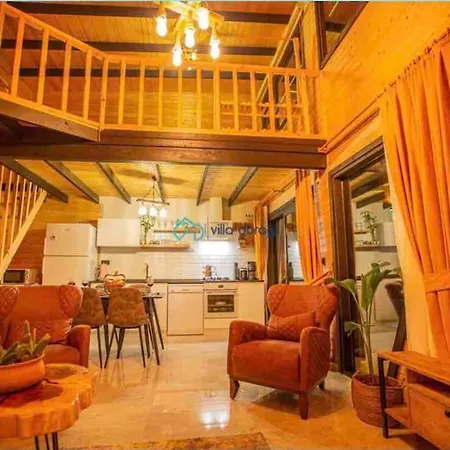 With Private Pool And Jacuzzi In Antalya Patara Kaș